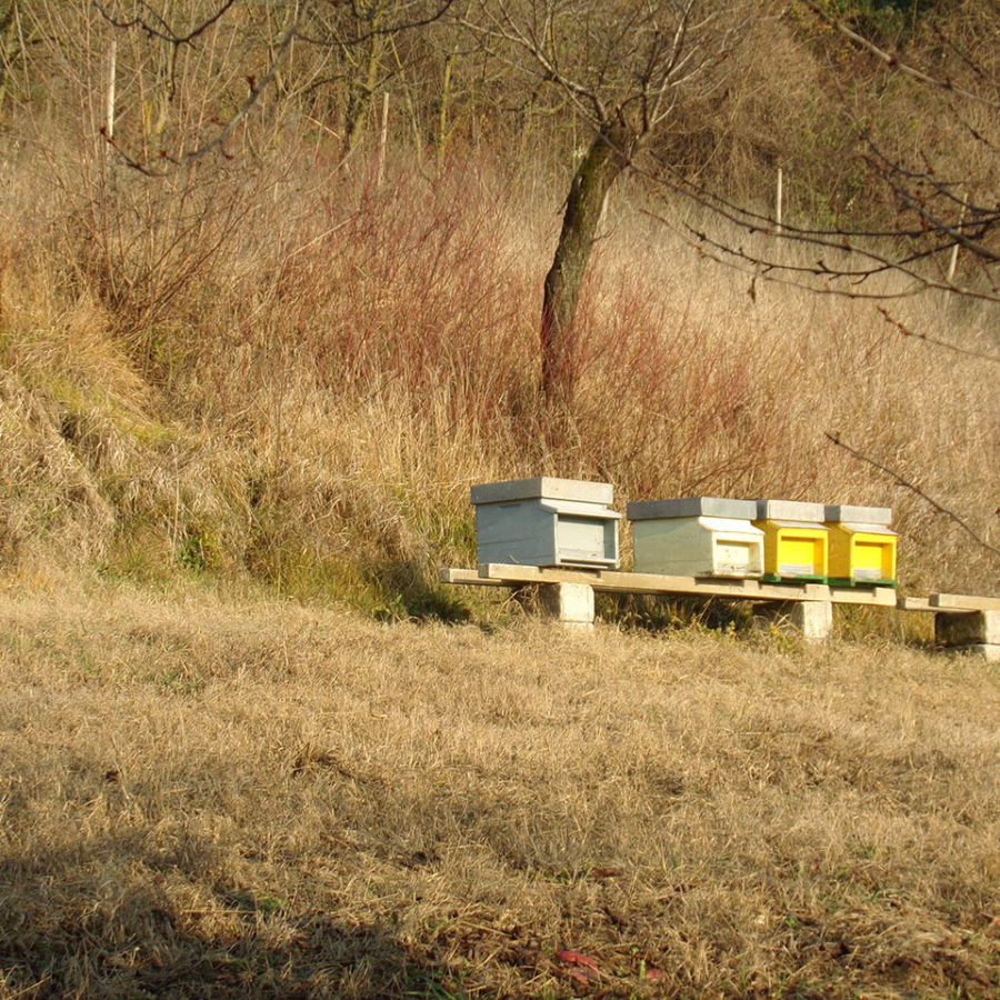Il Nostro Miele 5 Apicoltori Villa Civena Sovizzo Vicenza