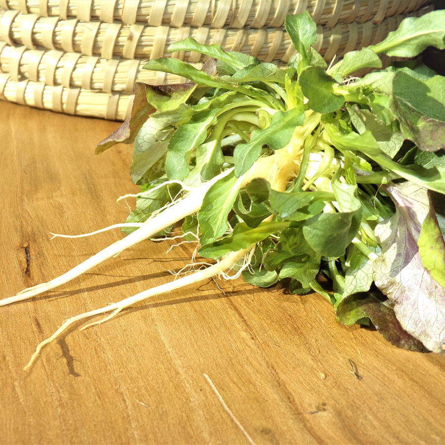 I Nostri Prodotti Agricoli 6 Raperonzoli